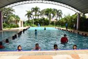 DSC0134800x533